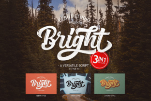 Bright Script for Creative Web Design and Branding