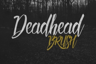 Deadhead Brush: A Script Font for Timeless Editorial Design